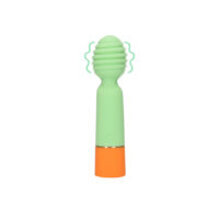 vibratore-mini-wand-usb-ricaricabile-spring-sage
