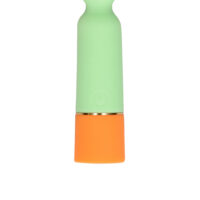 vibratore-mini-wand-usb-ricaricabile-spring-sage